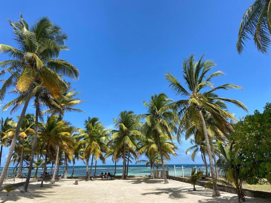 Le Cottage De Castaing Sur Plage Privee Sainte-Anne  Eksteriør billede