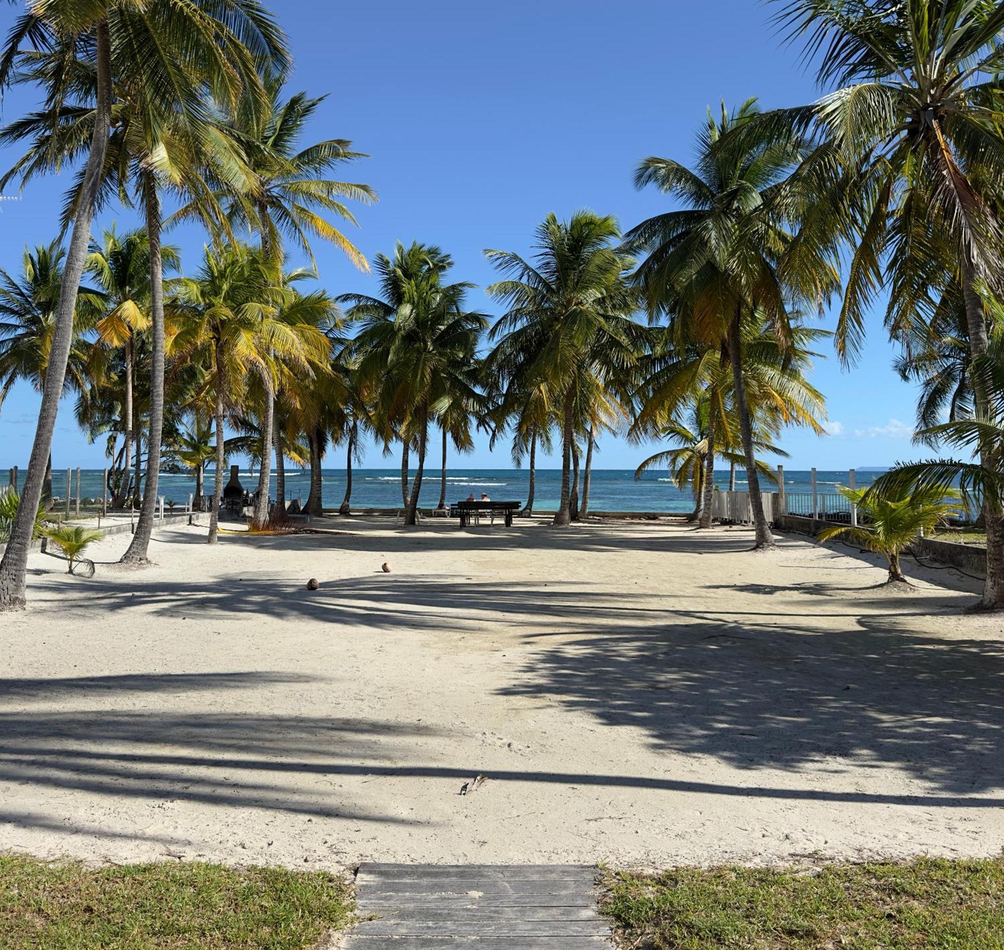 Le Cottage De Castaing Sur Plage Privee Sainte-Anne  Eksteriør billede