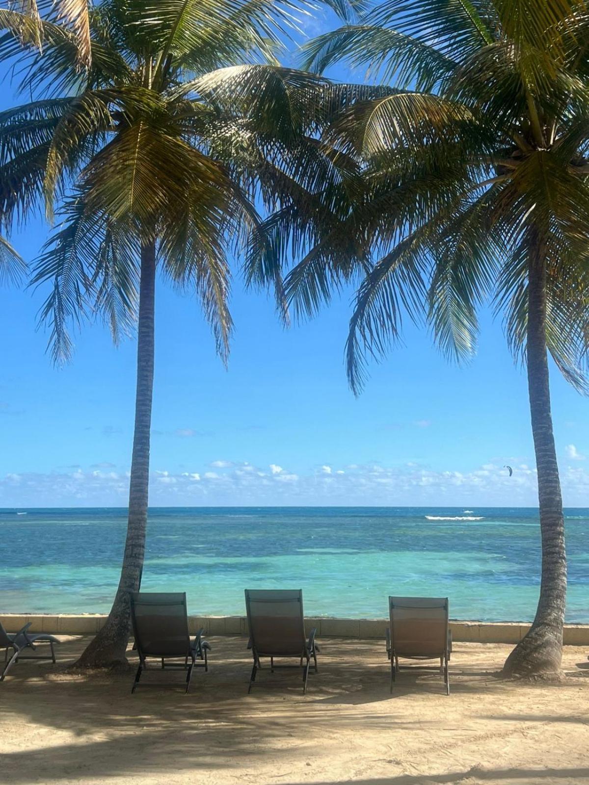 Le Cottage De Castaing Sur Plage Privee Sainte-Anne  Eksteriør billede