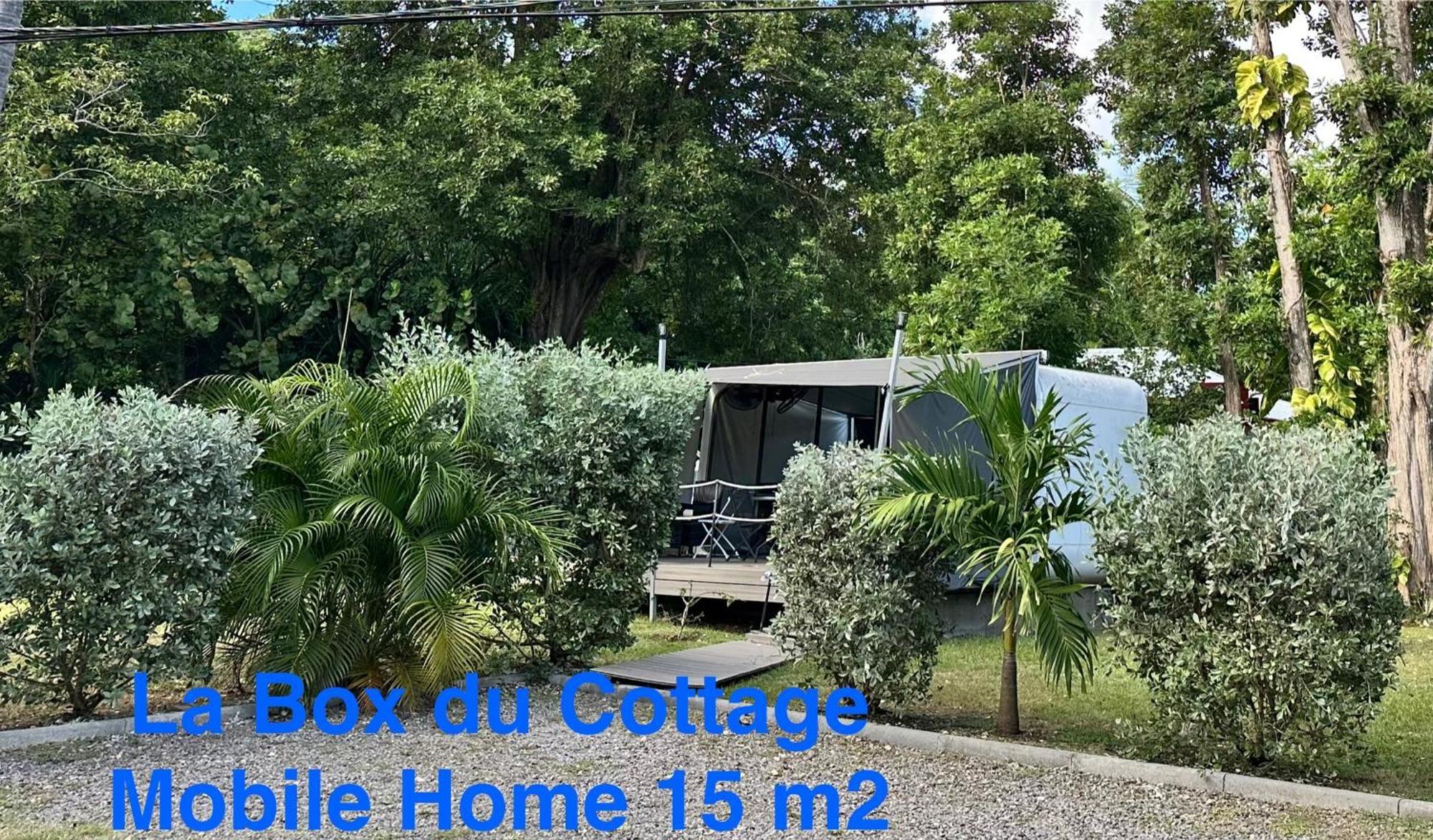 Le Cottage De Castaing Sur Plage Privee Sainte-Anne  Eksteriør billede
